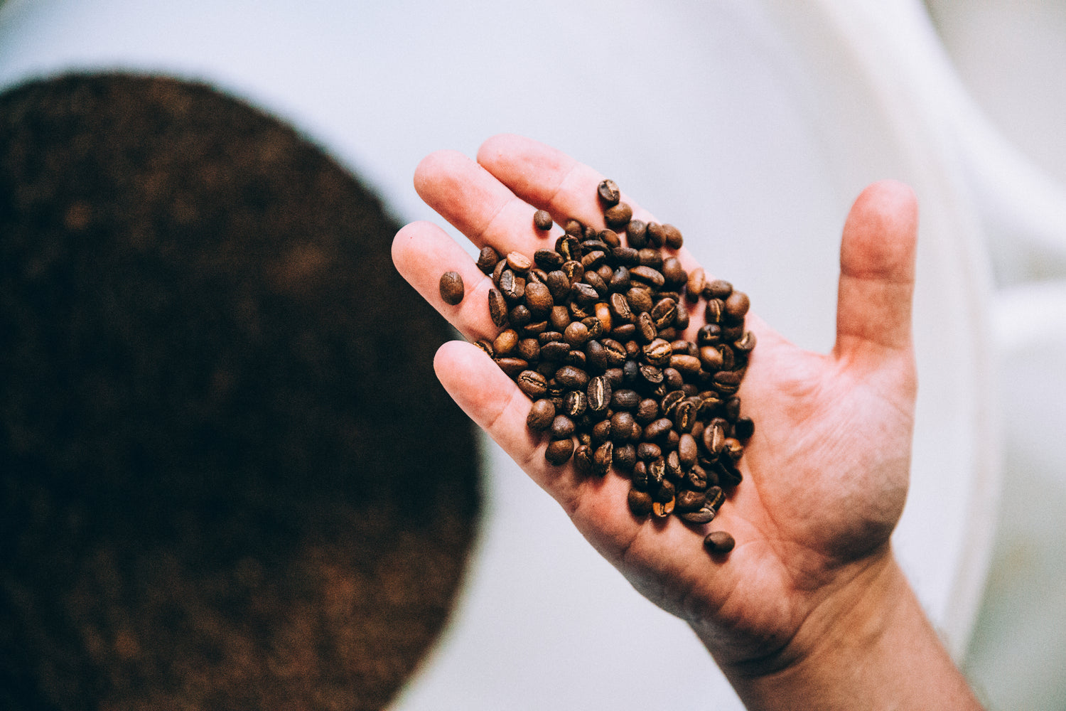Real coffee Real Flavor Feel fresh 
focus active 